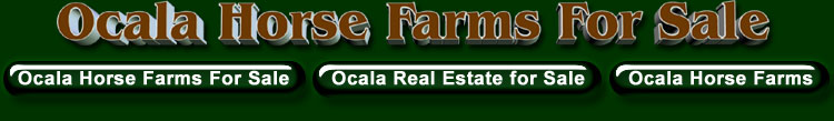 Ocala Florida real estate for sale, real estate for sale in Ocala Florida, Ocala homes for sale, homes for sale in Ocala, real estate, Ocala, Florida, Fl, for sale